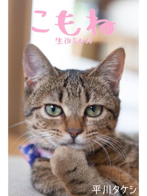 cover image of こもね～生後5か月～